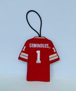 Load image into Gallery viewer, Florida State Seminoles (FSU) Jersey Ornament
