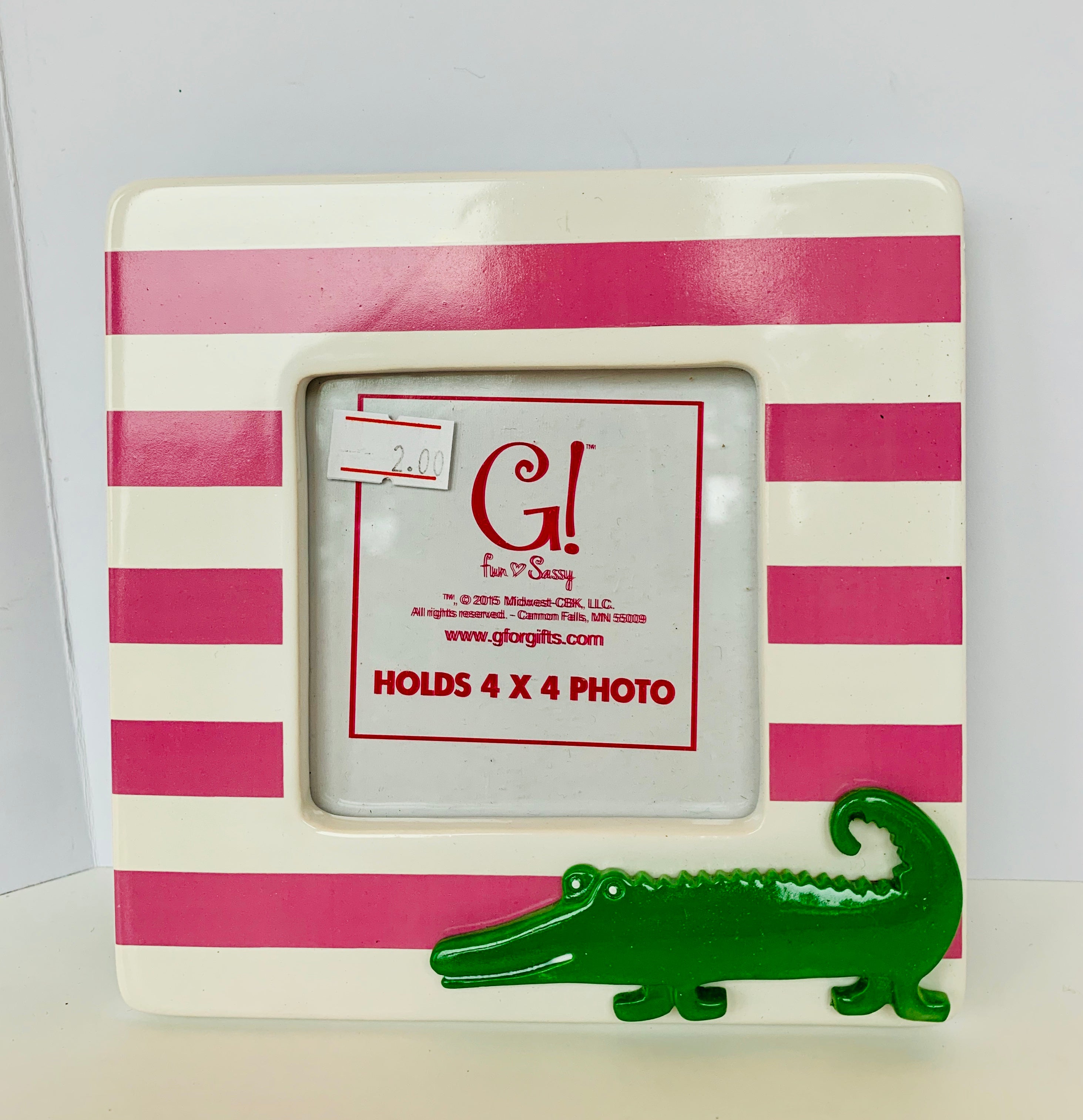 Alligator Stripe Frame