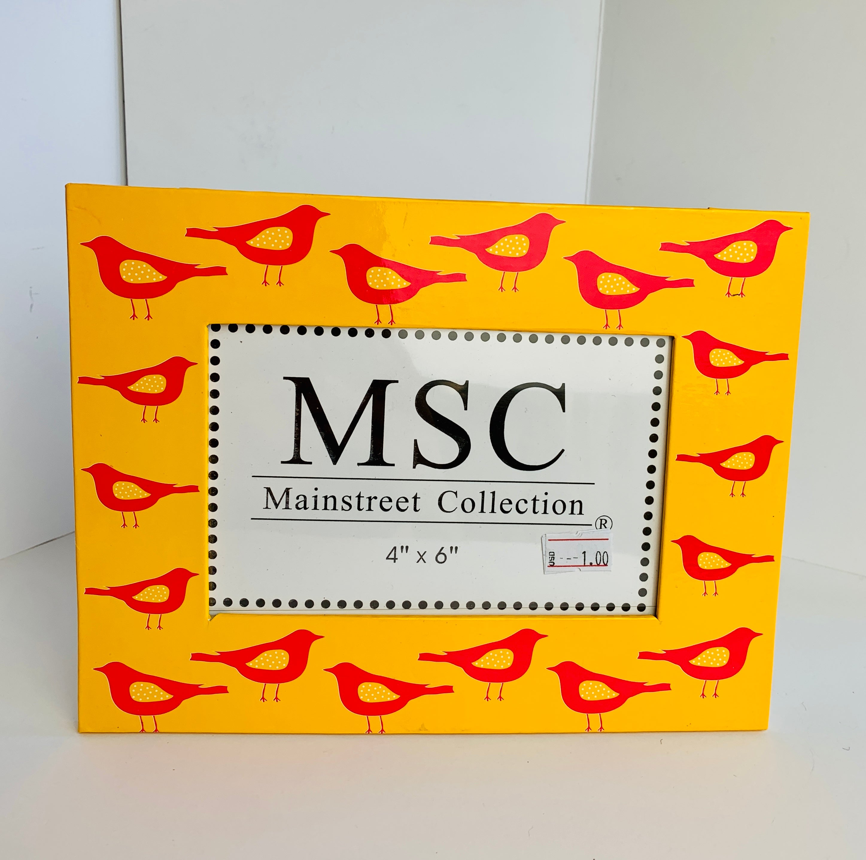 MSC Fun Frames