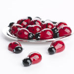Load image into Gallery viewer, Lady Bug &amp; Silver Tray Set
