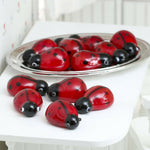 Load image into Gallery viewer, Lady Bug &amp; Silver Tray Set
